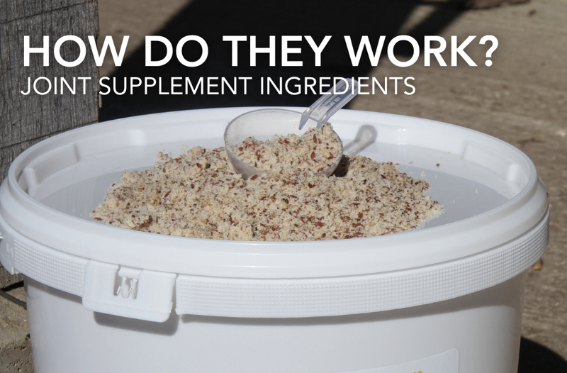 How Do They Work? Joint Supplement Ingredients | Equine Science Matter™